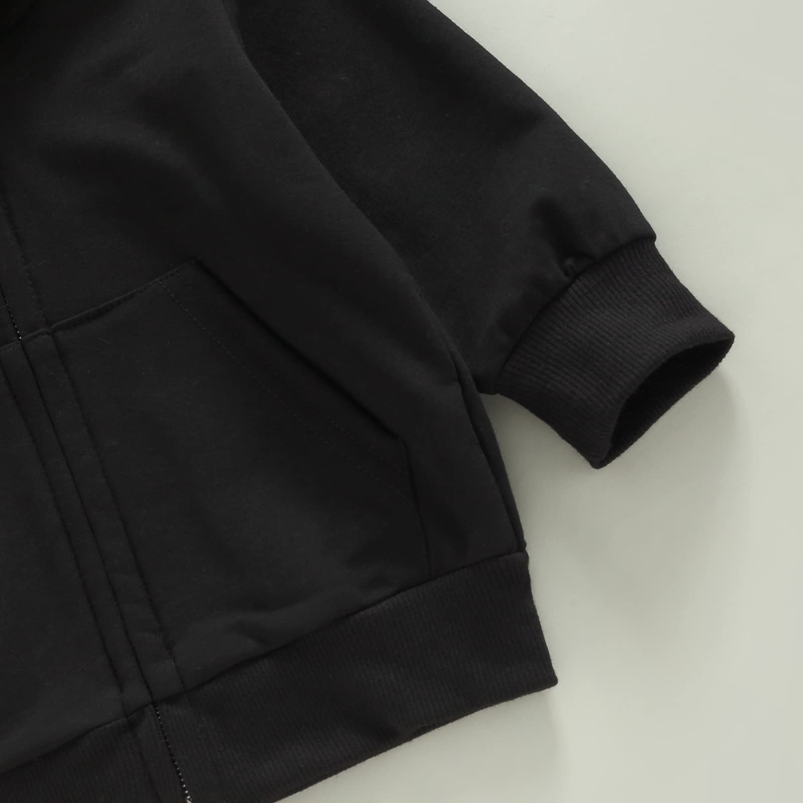 Lukivech Toddler Baby Boy Girl Zip Up Hoodies Solid Color Casual Long Sleeve Hooded Sweatshirts Jacket Outwear Fall Clothes, Black, 12-18 Months